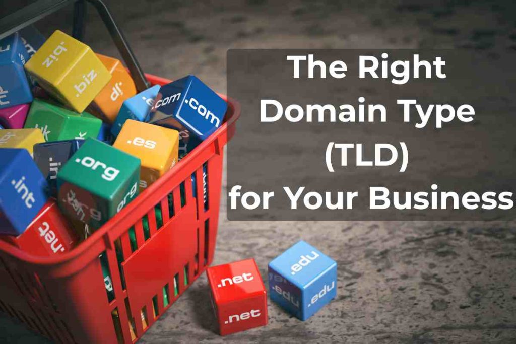 The Right Domain Type (TLD) for Your Business